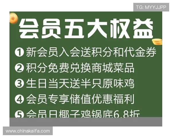 凯发真人娱乐平台VIP会员制度详解享受专属特权与福利